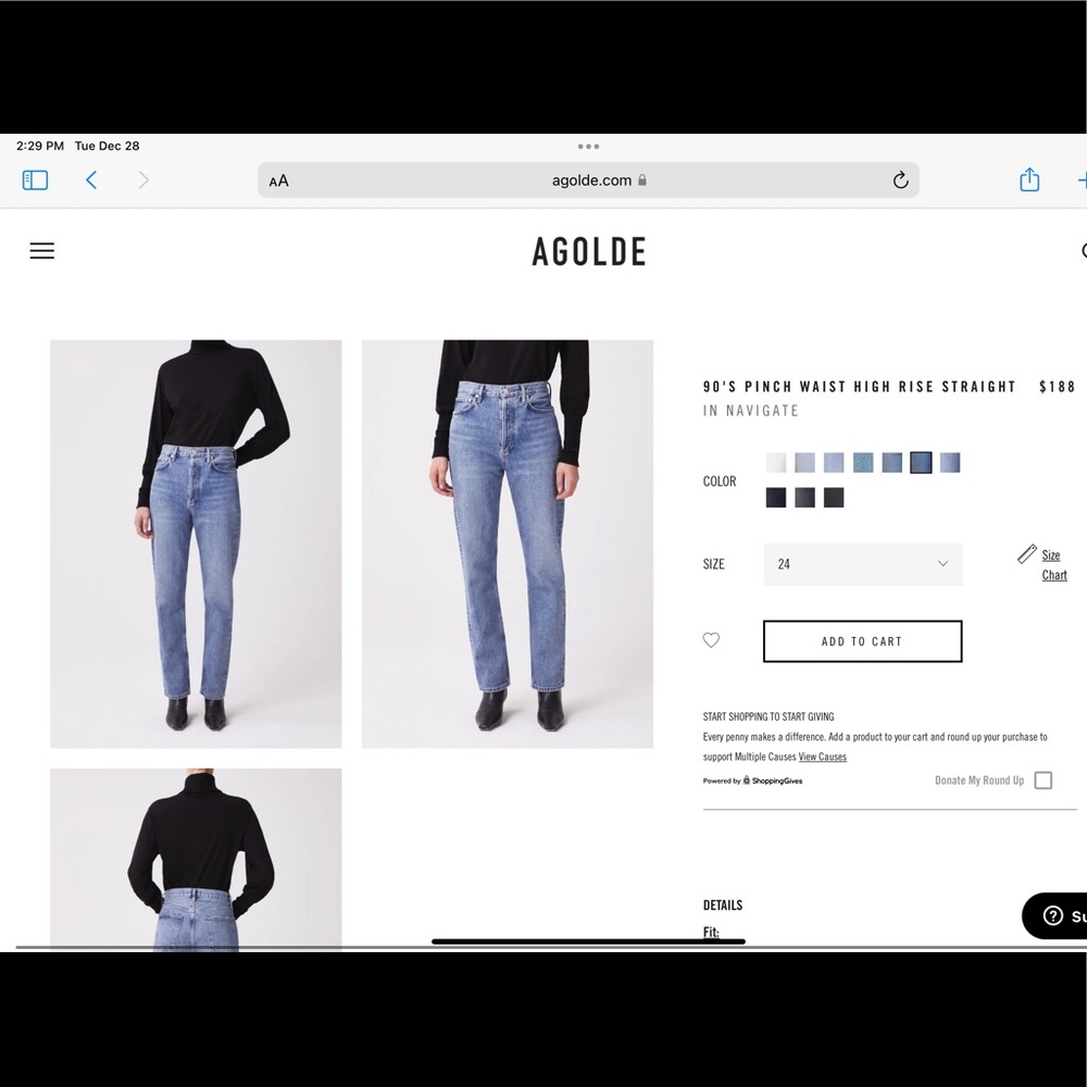 Agolde 90s Pinch Waist Jean